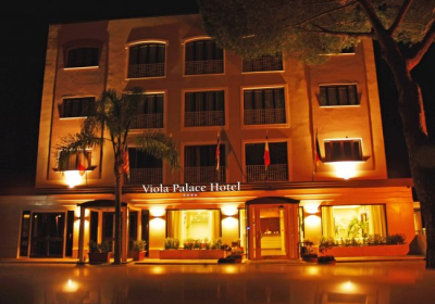 Hotel Viola Palace